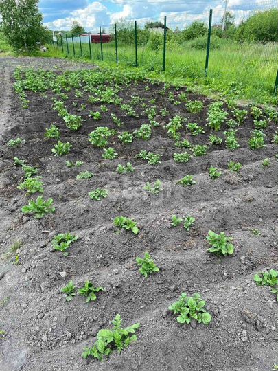 Участок 11,2 сот. (СНТ, ДНП)