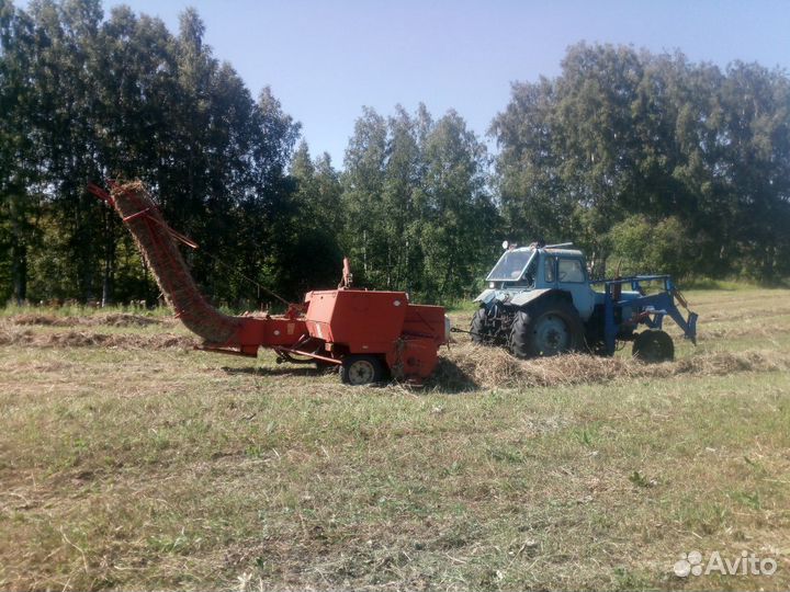 Сено в брикетах