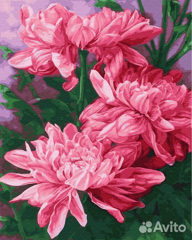 Раскраска по номерам