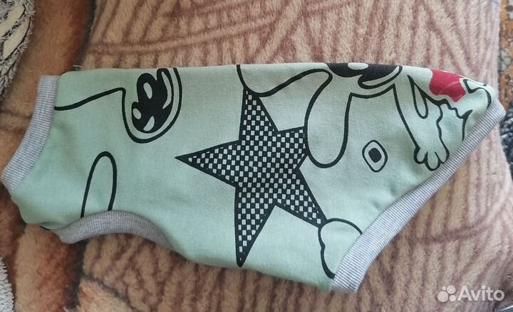 Одежда для кошек сфинкс