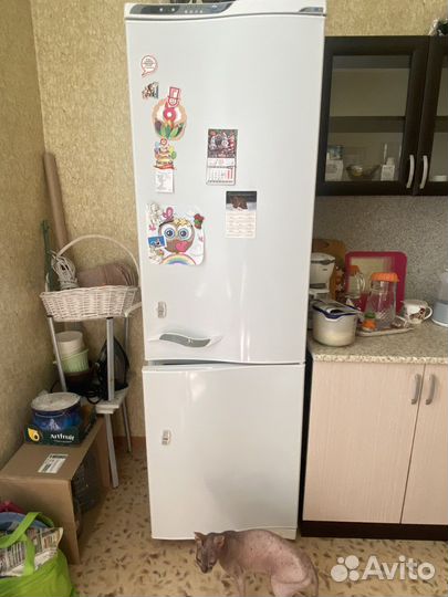 Холодильник атлант