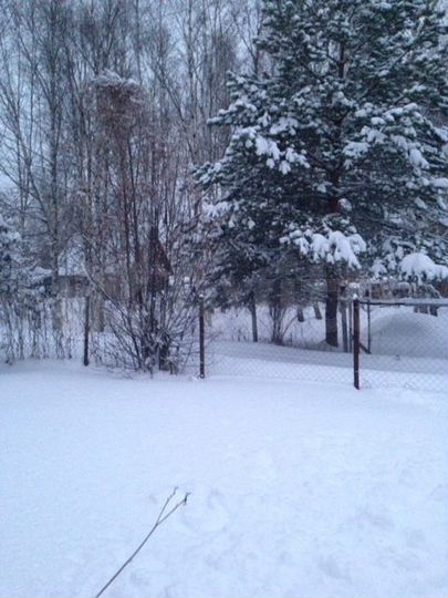 Дом 38 м² на участке 7 сот.