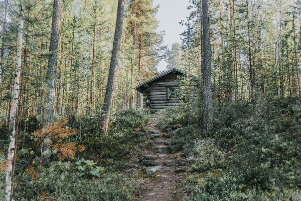 Дом 25 м² на участке 100 сот.