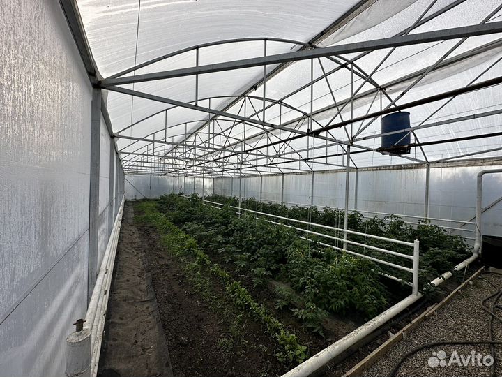 Теплица 160 м2