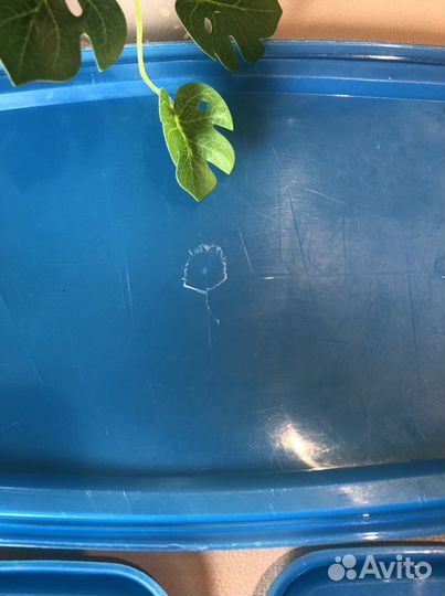 IKEA pruta крышки для пластиковых контейнеров