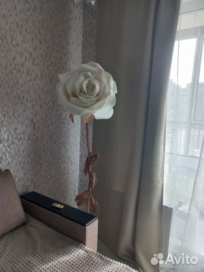 Роза-Лампа-цветок