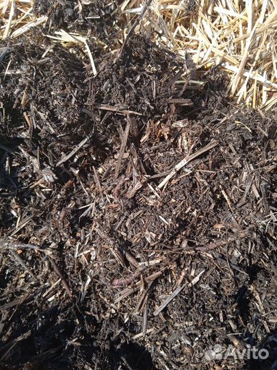 Грибные блоки/азотное удобрение/мульча/биогумус