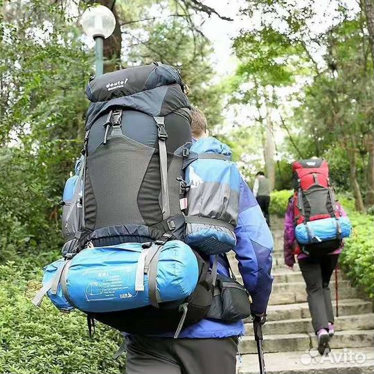 Туристический рюкзак Deuter Mountain 80L
