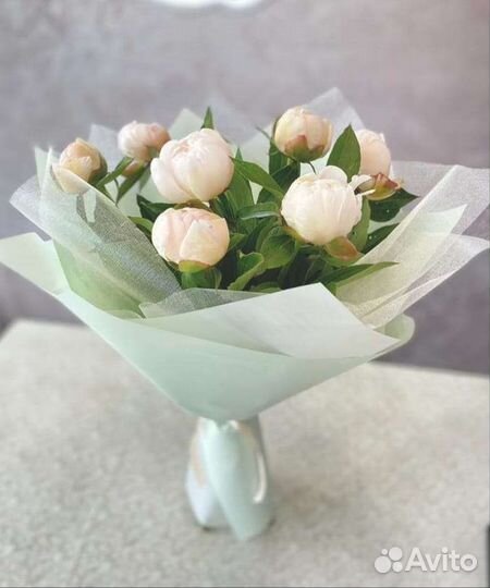 Пионы в Домодедово