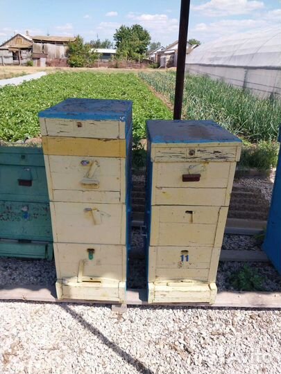 Ульи для пчел