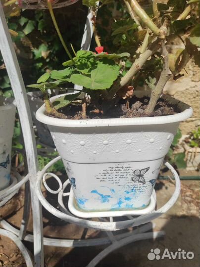 Подставка для цветов напольная кованая