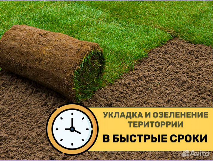 Рулонный газон доставка укладка