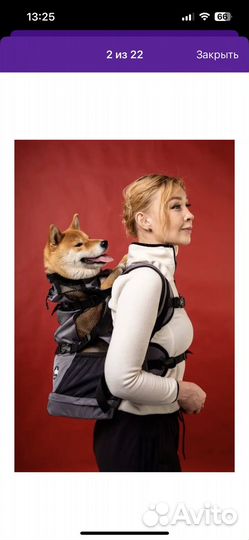 Рюкзак для собак