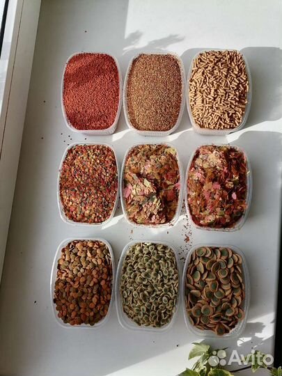 Корм для Рыб