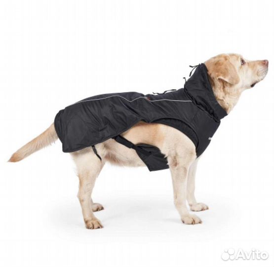 Зимние попоны продажа