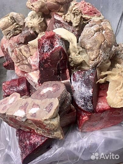 Говядина (субпродукты)