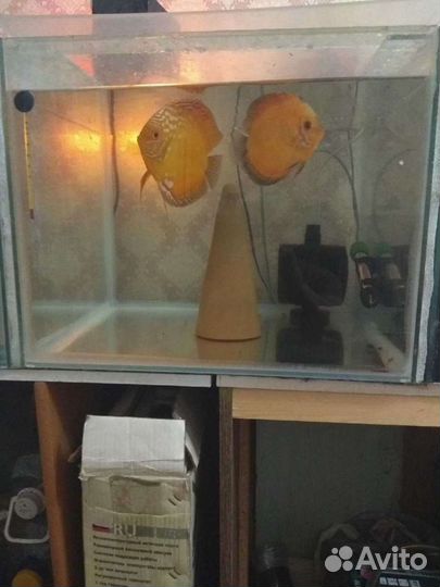 Кубы для дискусрв