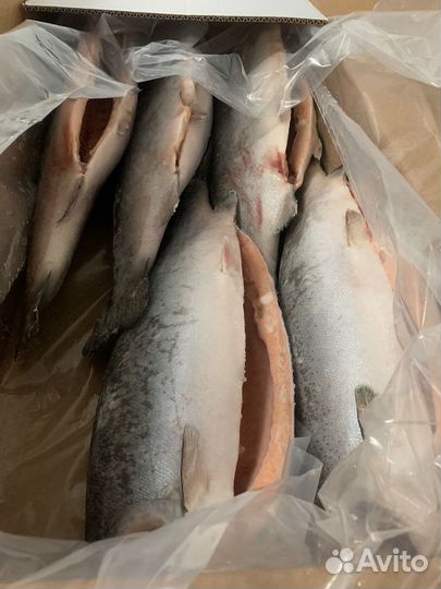 Доставка Икры Томск