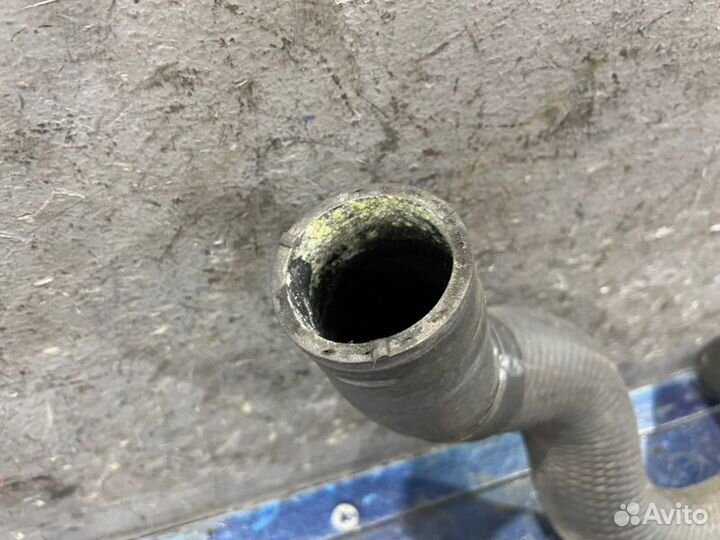 Патрубок охлаждения нижний Nissan X-Trail T31 2.5