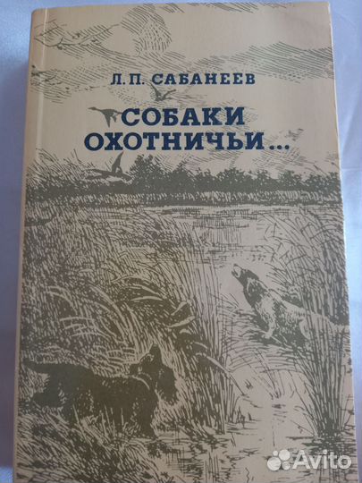 Приключения Алисы