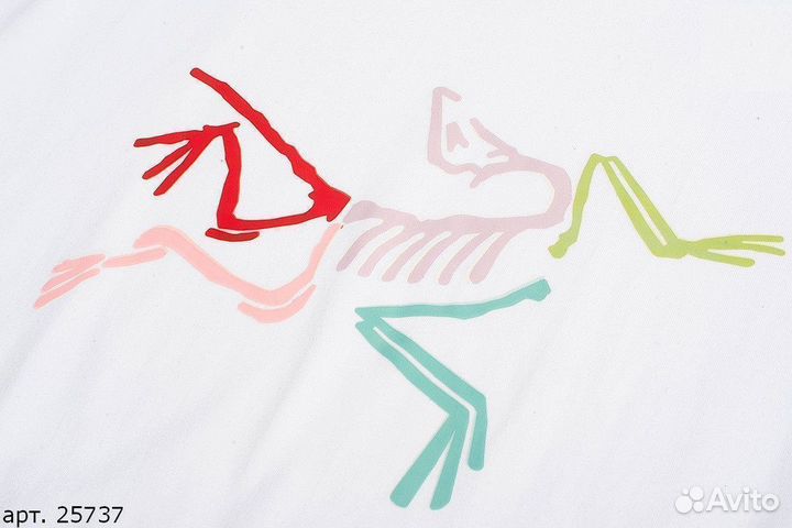 Футболка Arcteryx colored Белая