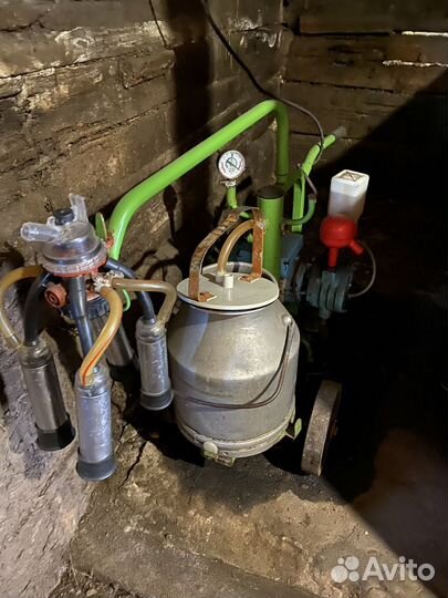 Доильный аппарат