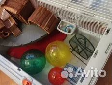 Террариум Novy 21 для мелк грызунов +куча всего