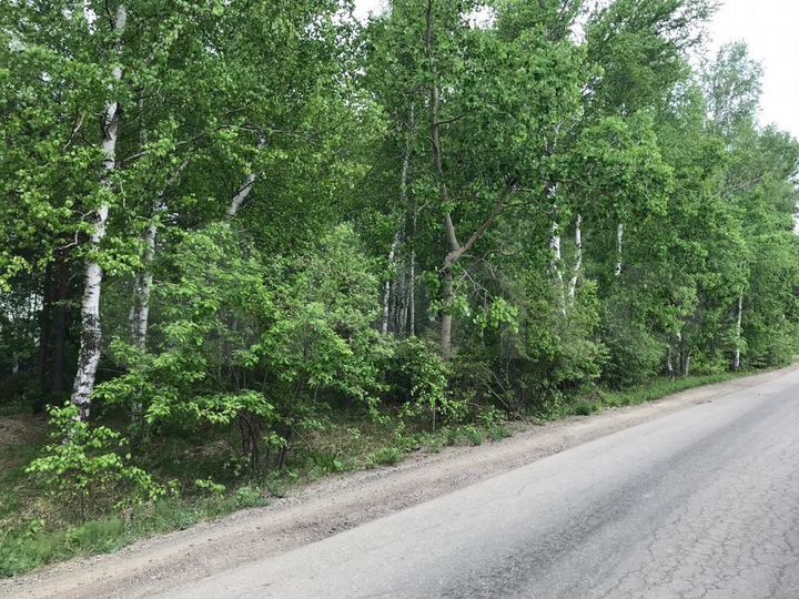 Участок 7 сот. (СНТ, ДНП)