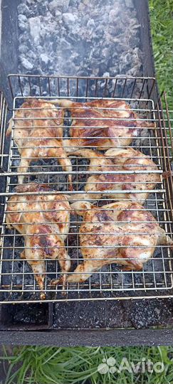 Яйца перепелиные