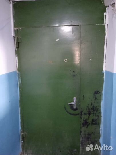 Дверь входная металлическая тамбурная