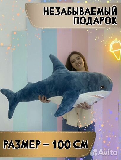 Акула все размеры