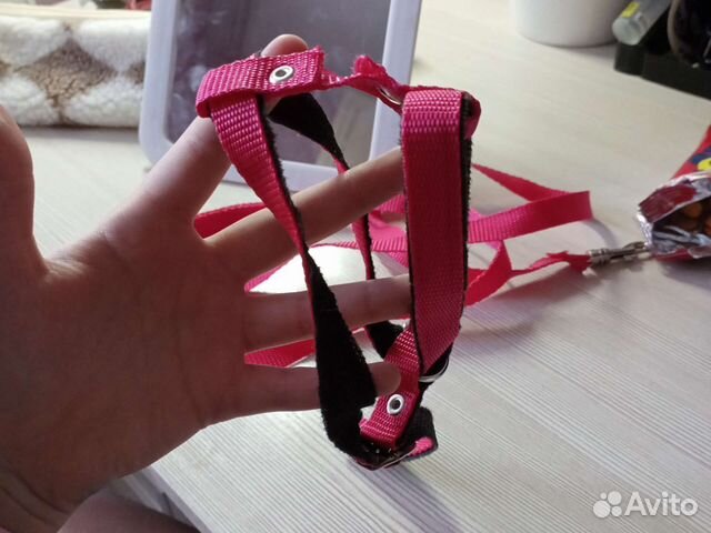 Шлейка для маленькой собаки/ кошки