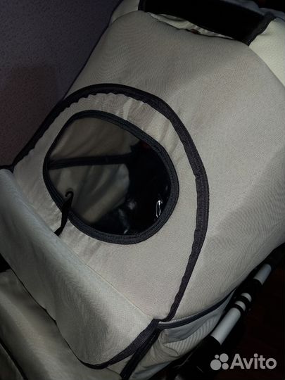 Коляска 2 в 1 DorJan Prestige