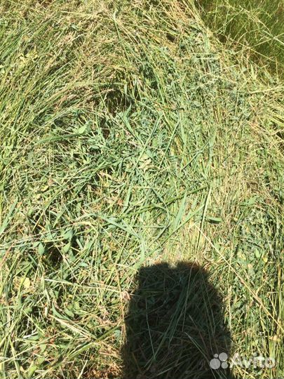 Сено разнотравье, солома в рулонах
