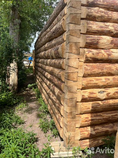6-3+2 сруб бани в лапу