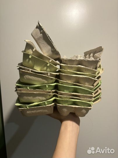 Лотки для яиц