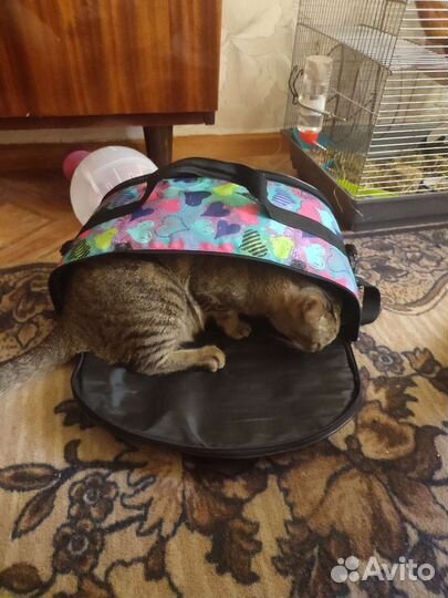 Переноска для кошек