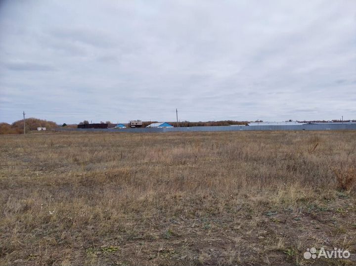 Сдается в аренду животноводческий комплекс