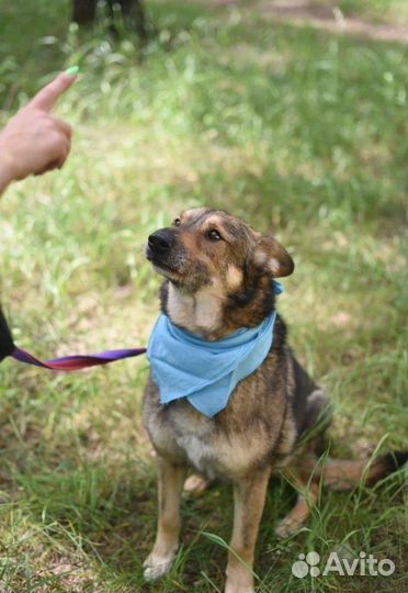 Серж в семью в добрые руки