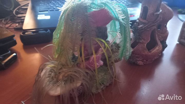 Аквариумы. Два. Декор, керамика. Одним лотом