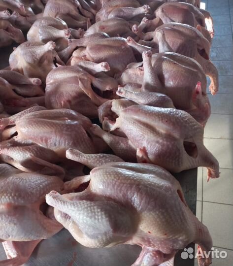 Домашнее мясо индюков от Иды Индейкиной