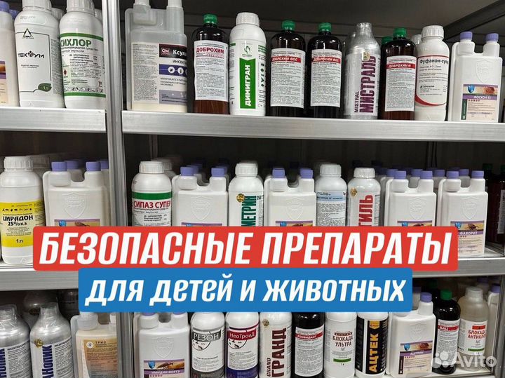 Уничтожение тараканов клопов блох крыс дезинфекция