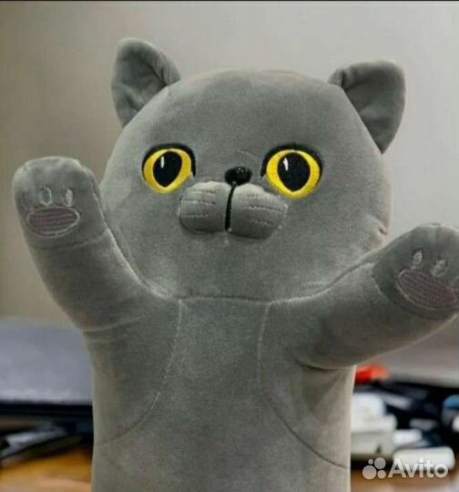 Кот батон британец