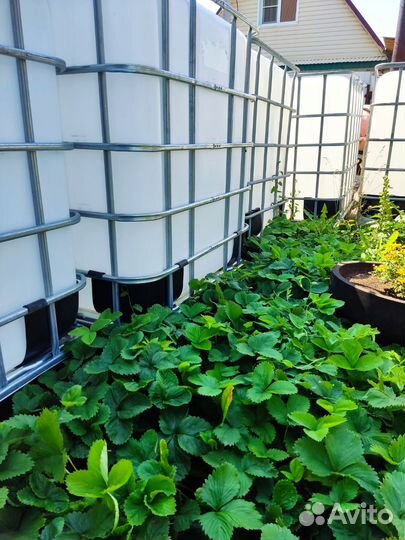 Еврокуб емкость кубовая 1000л,для воды