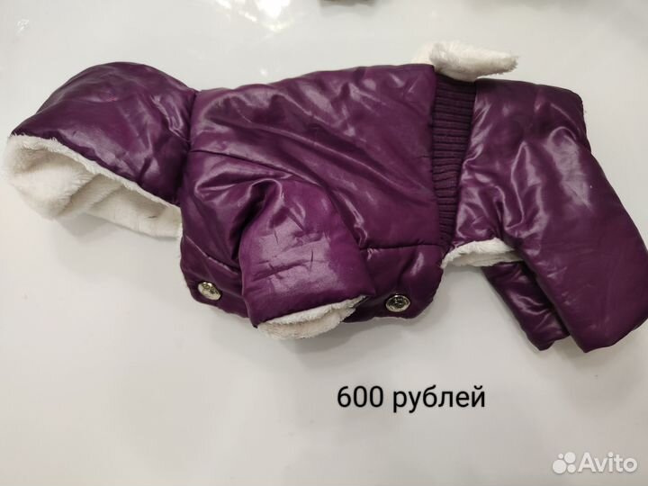 Одежда для маленьких собак