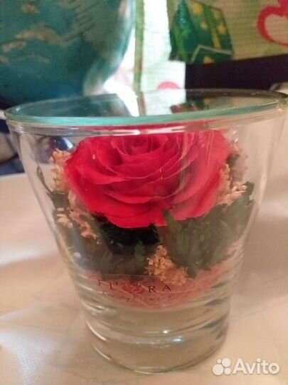 Роза в колбе