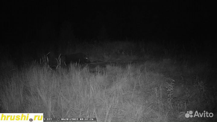 Фотоловушка Suntek hc900м(GSM) фото на Почту / MMC