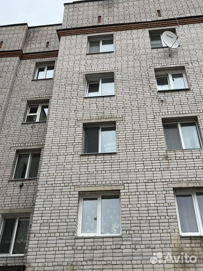 Зашитная металическая решетка на окно. Антикошка