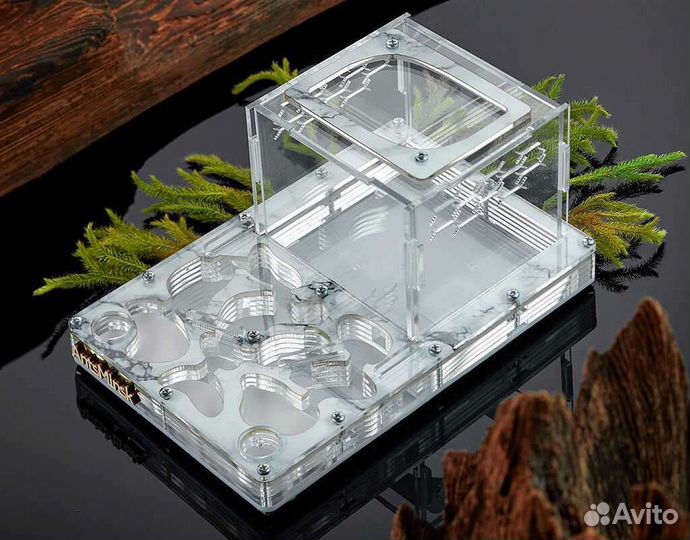 Муравьиная ферма - муравьи в комплекте