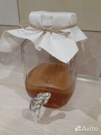 Чайный гриб - Комбуча в лимонаднике